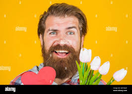 Tulips lover hi-res stock photography and images