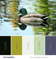 Color Palette Ideas Icolorpalette Colors Inspiration Graphics Design Inspiration Beautiful Colorpalette Palettes Ide Color Palette Color Color Mixing