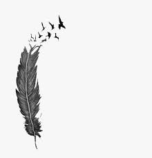 3.6 out of 5 stars. Feather Tattoo Freetoedit Feather Breaking Into Birds Tattoo Hd Png Download Transparent Png Image Pngitem