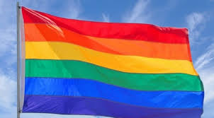 Pride and sports zet zich in voor een veilig sportklimaat voor alle sporters, . Lhbtiq