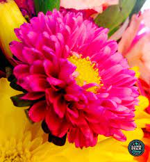 Flower Meanings The Matsumoto Aster Flower Aster Is Greek For Star Perfect For That Star In Your Life See It Shinning It S Bright Colors In The Lonesta