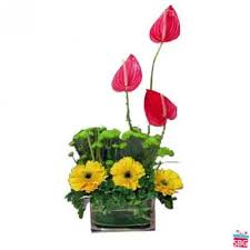 Maybe you would like to learn more about one of these? Flower Shop Near Me Same Day Flowers Delivery From Nearest Florist