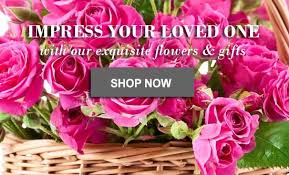 Send flowers to germany, monday to saturday which are delivered by hand by our experienced germany florist during office hours. Germany Florist Send Flowers And Gifts Online International Flower Delivery Expert Germany Worldpetals Com