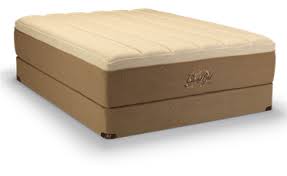 The Tempur Pedic Grandbed Is Covered In Cashmere Cashmere Put That On The Grand Ergo Adjustable Base With A Tempurpedic Tempurpedic Mattress Tempurpedic Bed