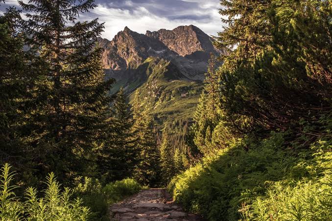 Mountain Journey