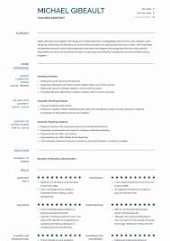 Teacher Assistant Job Description Resume Inspirational Teaching Assistant Resume Samples Templates Teacher Assistant Jobs Teacher Assistant Assistant Jobs