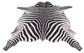 Teppich afrika zebra leopardenmuster 77x150 cm gemusterte. Teppich Zebra Bruno Banani Tierfellformig Hohe 6 Mm Druckteppich In Fellform Zebra Optik Wohnzimmer Online Kaufen Otto