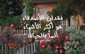 كلام عن فراق الاصدقاء ليدي بيرد