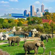 Top Attractions In Indianapolis Indianapolis Zoo Denver Zoo Indiana