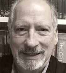 Dr. Robert Berman, PhD