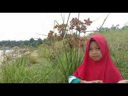 Lagu yang berjudul memandang alam memiliki nada dan birama. Kls 4 Sbdp Lagu Memandang Alam Dengan Tempo Dan Tinggi Rendah Nada Youtube