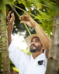 View season stats, player information, and latest news of forward rodrigo pacheco on the official website of the usl championship. Entrevista Rodrigo Pacheco El Embajador Culinario Del Centro Del Mundo Ministerio De Turismo