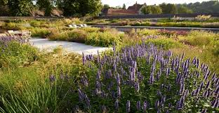Wiltshire Garden Contemporary Garden Design Garden Design Outdoor Gardens