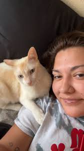 Who can pet sit my cat in Phoenix?