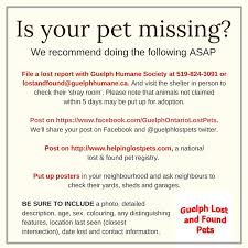 We are looking for people who will take time out of there day to take part in search and. Guelph Lost Pets Guelphlostpets Twitter