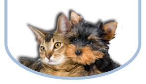 Emergency vets in chicago, il. Veterinarians Serving Prospect Heights Des Plaines Arlington Heights