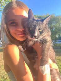 Missing cat named Dixie from Selkirk Drive?