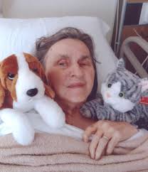 Contributions to the tribute of Dorothy Ann Chamberlain