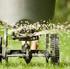 We did not find results for: What Is Lime How To Tell If Your Lawn Needs It Greenview