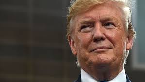 Watch Trump praise WikiLeaks over and over again