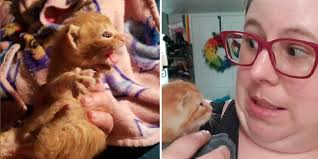 Fostering Saves Lives Archives