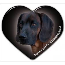 Image result for bavorský barvář