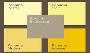 Comment Associer La Couleur Jaune En Deco D Interieur Palette Couleur Association Couleur Couleur Jaune