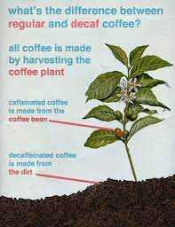 How Decaf Coffee Is Made Decaffeinated Coffee Decaf Coffee Decaffeinated