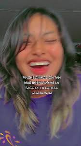 Willyrex Se Rie De Maximus