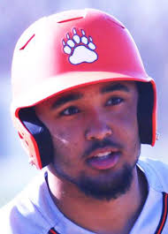 Bear baseball team honors, leaders listed