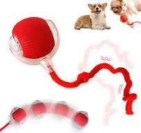 interactive dog ball near me - TikTok Shop