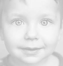 Expert Care for Abused Children Annual Newsletter