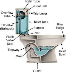 If it drops to a point on your overflow tube or your tank drained completely, your flush valve needs to be replaced. A Guide To Toilet Repair In Kansas City Anthony Phc Kansas City