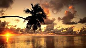 33 hawaii hd wallpaper … перевести эту страницу. Hawaii Beach Sunset Landscape Clouds Nature Photography Palm Trees Wallpapers Hd Desktop And Mobile Backgrounds