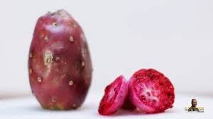So what fruits you can eat on keto? Benefits Uses Of Prickly Pear Cactus Nopal Nagfani Nagajemudu Tree Fruit For Skin Hair And Health