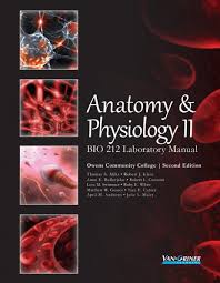Anatomy Physiology Ii Bio 212 Laboratory Manual Second Edition Van Griner Learning