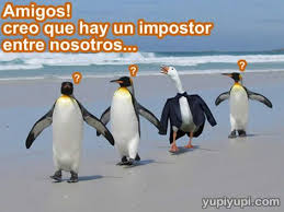 Animales Chistosos Y Tiernos Chistes De Animales Animales Chistosos Imagenes Divertidas De Animales