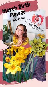 Daffodil Meaning And Symbolism March Birth Flowers Daffodil Flower Birth Flowers