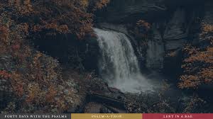 Holy Trinity Anglican Church Raleigh Nc