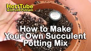Find great deals on ebay for cactus potting soil. The Best Succulent And Cactus Potting Mix Testing Ph And Soil Moisture Youtube
