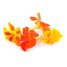 Does whole foods have edible flowers. Edible Flower Buy Organic Edible Flower Online Of Best Quality In India Godrej Nature S Basket