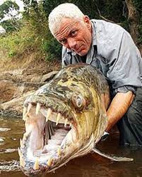 After eight years, extreme angler and biologist jeremy wade is hanging up his fishing rod and the final season of river monsters will begin on sunday, april 23 at 9pm et/pt. Goliath Tiger Fish River Monsters Wiki Fandom