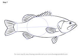 There are 30 collectible rdr2 dinosaur Learn How To Draw A Largemouth Bass Fishes Step By Step Drawing Tutorials Fish Sketch Drawings Fish Drawings