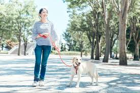 動物病院サプリ
