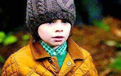 Poison Apple ｡ Plot Shop