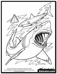 Great White Shark Coloring Pages Dÿz Great White Shark Coloring Page 13 Shark Coloring Pages In 2020 Shark Coloring Pages Ocean Coloring Pages Coloring Pages For Kids