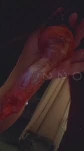 Cainecountess sucks dogs - BestialitySexTaboo - Bestiality Sex Taboo