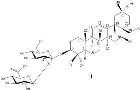 Image result for Abrus canescens