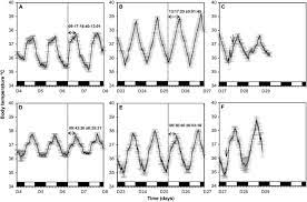 Daily Regulation Of Body Temperature Rhythm In The Camel Camelus Dromedarius Exposed To Experimental Desert Conditions Bouaouda 2014 Physiological Reports Wiley Online Library