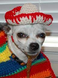 Dog Sombrero And Poncho Set Pattern By Sara Sach Crochet Patterns Dog Crocheted Dog Sombrero